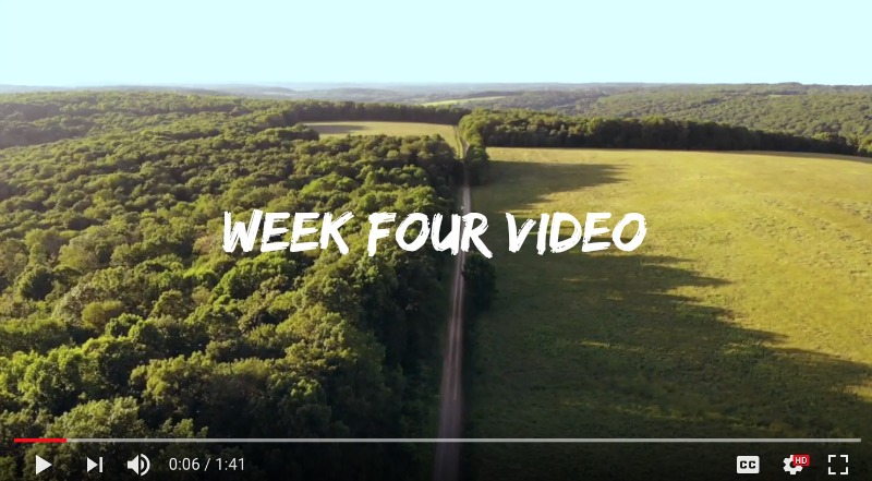 Week 4 Summer Camp Video