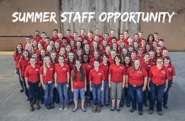 Work at MMR this Summer