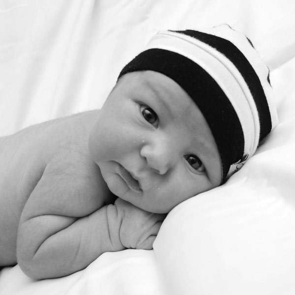 Gavin Carter Stanley Gavin Carter Stanley