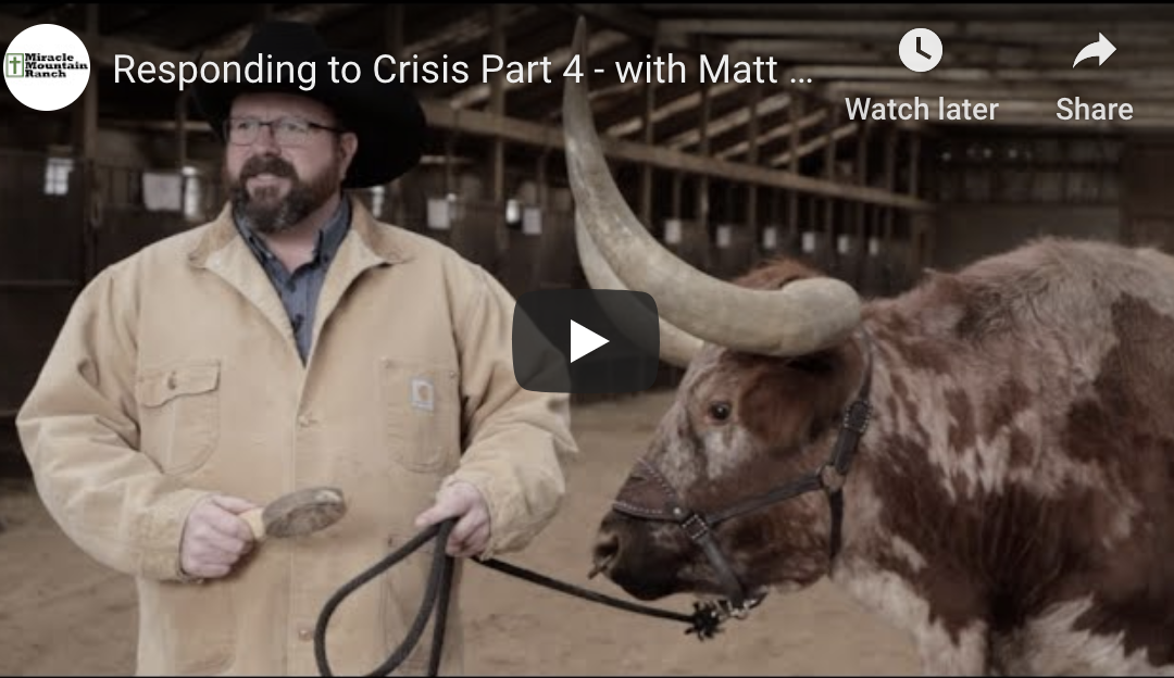 Responding to Crisis Part 4 with Matt Cox