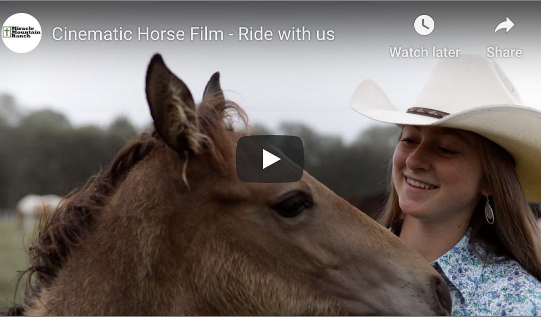 Cinematic Horse Short Film
