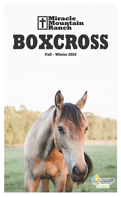 BoxCross